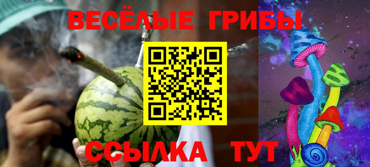 как найти   Вход с VPN  Луховицы  Галлюциногенные грибы Magic Shrooms 